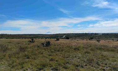 Terrenos/Parcelas ecológicas.