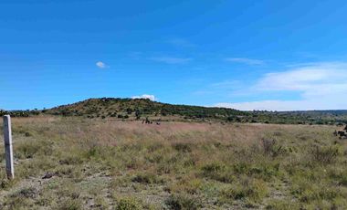 Terrenos/Parcelas ecológicas.