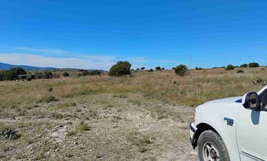 Terrenos/Parcelas ecológicas.