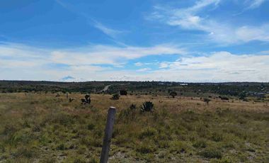 Terrenos/Parcelas ecológicas.