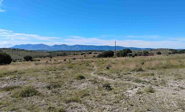 Terrenos/Parcelas ecológicas.