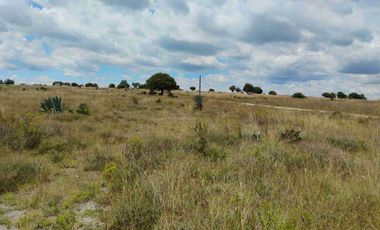 Terrenos/Parcelas ecológicas.