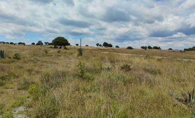 Terrenos/Parcelas ecológicas.