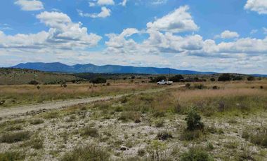 Terrenos/Parcelas ecológicas.