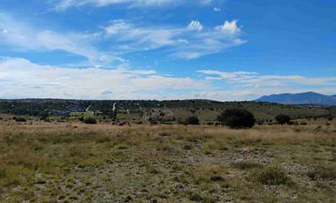 Terrenos/Parcelas ecológicas.