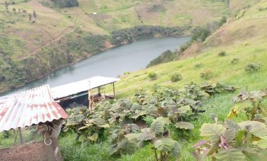 Hermosa propiedad productiva con casa de 2.8 hectarias en Palmas