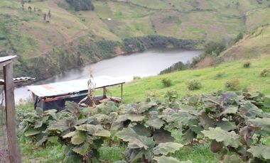 Hermosa propiedad productiva con casa de 2.8 hectarias en Palmas