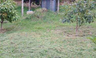 Hermosa propiedad productiva con casa de 2.8 hectarias en Palmas