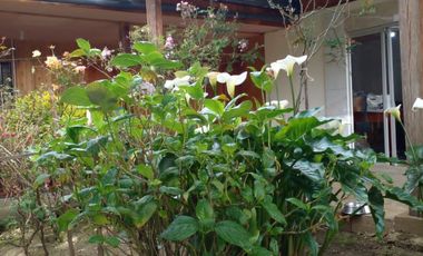 Hermosa propiedad productiva con casa de 2.8 hectarias en Palmas