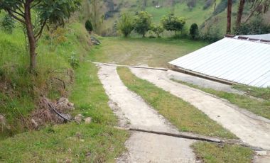 Hermosa propiedad productiva con casa de 2.8 hectarias en Palmas