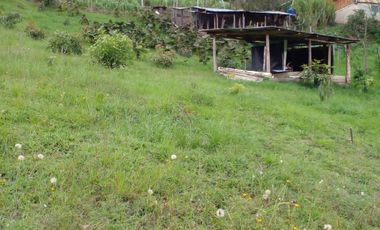 Hermosa propiedad productiva con casa de 2.8 hectarias en Palmas