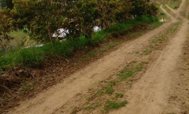 Hermosa propiedad productiva con casa de 2.8 hectarias en Palmas