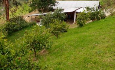 Hermosa propiedad productiva con casa de 2.8 hectarias en Palmas