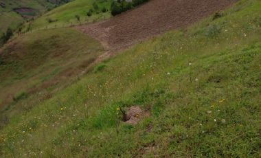 Hermosa propiedad productiva con casa de 2.8 hectarias en Palmas