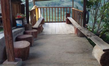 Hermosa propiedad productiva con casa de 2.8 hectarias en Palmas