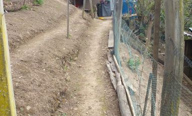 Hermosa propiedad productiva con casa de 2.8 hectarias en Palmas