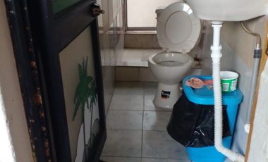 Hermosa propiedad productiva con casa de 2.8 hectarias en Palmas