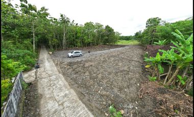 Tanah Dijual Jl. Kw. Industrial Sentolo Dekat RS. Queen Lathifa