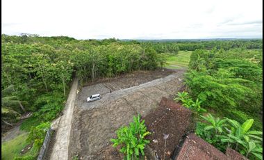 Tanah Dijual Jl. Kw. Industrial Sentolo Dekat RS. Queen Lathifa