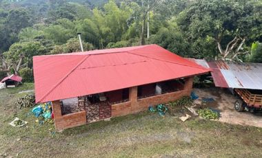Venta Hermosa Finca Doble Propósito productiva y campestre Combia-Pereira