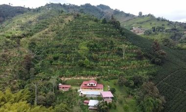 Venta Hermosa Finca Doble Propósito productiva y campestre Combia-Pereira