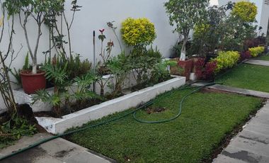 Renta de Casa en Coyoacán