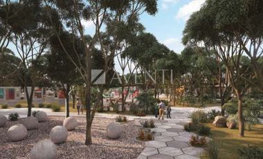 Terreno Habitacional en Venta, Lausana, Carretera Colosio, Cancún