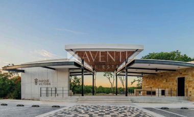 Terreno Habitacional en Venta, Lausana, Carretera Colosio, Cancún