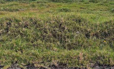 TERRENO 268MTRS2 EN LA URBANIZACIÓN CIEELA VIA A CHECA A 26 MIN DE LA CIUDAD