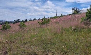 Casa Campirana En Venta Con Bonitas Vistas En Municipio De Jilotepec