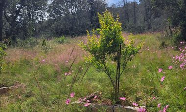 Casa Campirana En Venta Con Bonitas Vistas En Municipio De Jilotepec