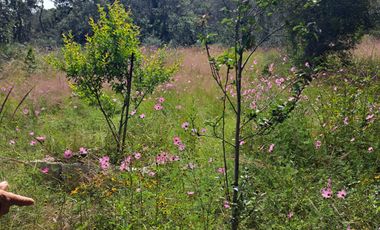 Casa Campirana En Venta Con Bonitas Vistas En Municipio De Jilotepec