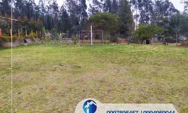 𝑫𝑬 𝑽𝑬𝑵𝑻𝑨 𝑸𝑼𝑰𝑵𝑻𝑨 𝑬𝑵 𝑫𝑬𝑳𝑬𝑮