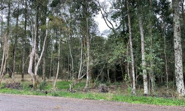 Parcela a 18 Kms. de Frutillar, (Ruta V-200)