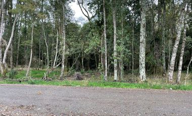 Parcela a 18 Kms. de Frutillar, (Ruta V-200)