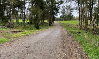 Parcela a 18 Kms. de Frutillar, (Ruta V-200)