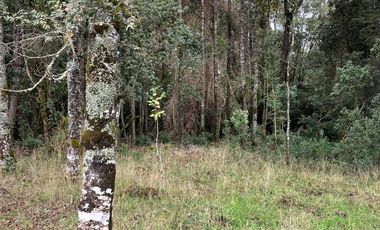 Parcela a 18 Kms. de Frutillar, (Ruta V-200)