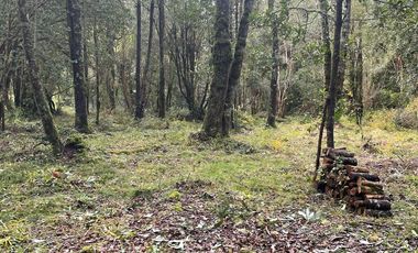 Parcela a 18 Kms. de Frutillar, (Ruta V-200)