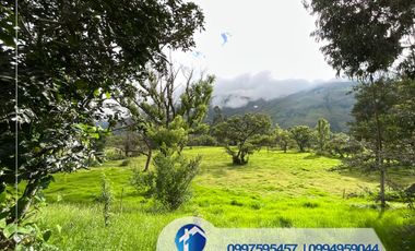 🔴 Vendo Quinta en Paute sector el Cabo