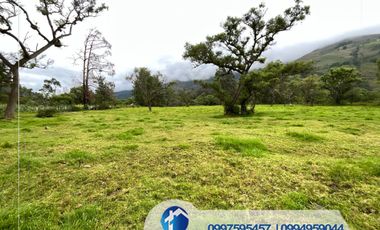 🔴 Vendo Quinta en Paute sector el Cabo