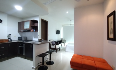 Apartaestudio amoblado en arriendo en San Vicente.