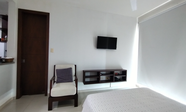 Apartaestudio amoblado en arriendo en San Vicente.