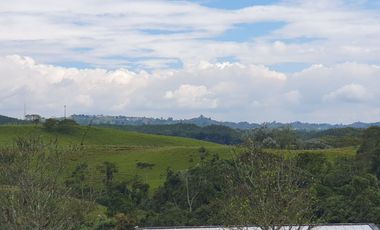 LOTE EN VENTA EN CONDOMINIO EN LA GRAMINEA DE 2.500M2