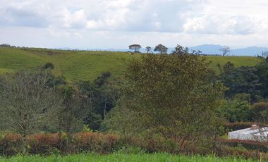 LOTE EN VENTA EN CONDOMINIO EN LA GRAMINEA DE 2.500M2