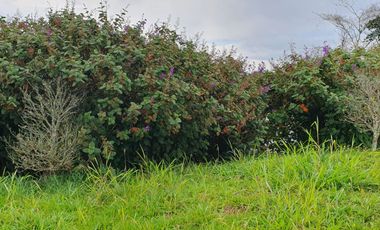 LOTE EN VENTA EN CONDOMINIO EN LA GRAMINEA DE 2.500M2