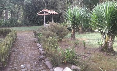 Venta hacienda zona de Intag, sector Santa Rosa, Cotacachi.
