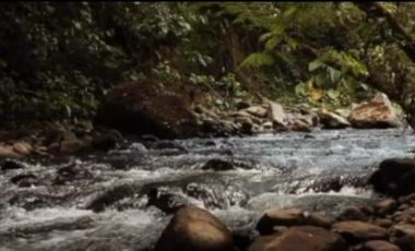 Venta hacienda zona de Intag, sector Santa Rosa, Cotacachi.