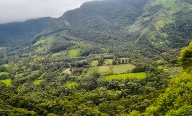 Venta hacienda zona de Intag, sector Santa Rosa, Cotacachi.