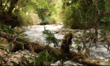 Venta hacienda zona de Intag, sector Santa Rosa, Cotacachi.