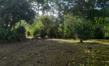 Venta hacienda zona de Intag, sector Santa Rosa, Cotacachi.